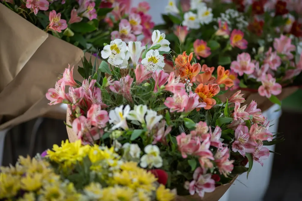Same-day flower delivery in Jefferson Hills PA